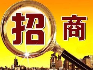 產(chǎn)業(yè)新城招商